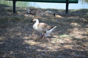 10151174_10203527920497937_4568525712130004444_n