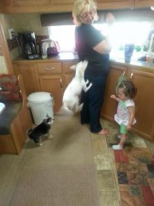 10174932_631023810325770_2118922392969408290_n