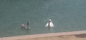 10426566_660607817367369_5394732911698541451_n