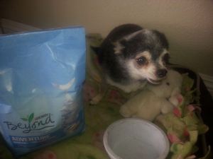 10505608_667558293338988_5952478859397260540_n