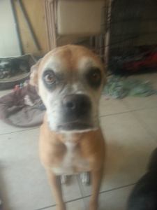 10352198_710463482381802_4197986160865615675_n