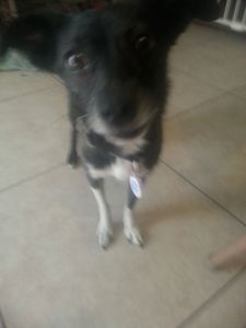 10603488_710463469048470_3037381906408585209_n