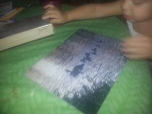 10698521_715064675255016_2030931440843393583_n