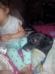 1013501_726423377452479_8011327562395545307_n