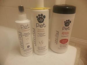 10600554_726423634119120_5056467064155307214_n