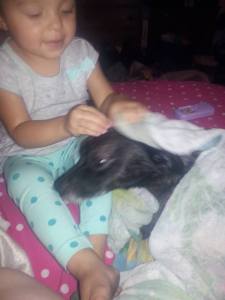 10696164_726423434119140_592675136162625616_n