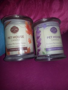 10644731_743895209038629_3259145291933005971_n