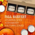 10675567_10203265448982527_6058120155101723448_n