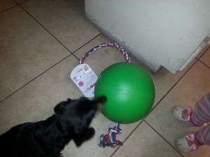 10505586_785049128256570_2240806949354344984_n