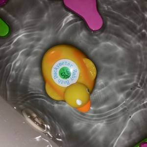 10984502_818292874932195_928215501939211334_n