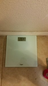 10986437_809757572452392_535655789811087009_n