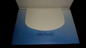 11037329_809757422452407_2968444053664237177_n