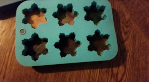 11037332_818215578273258_5078239302602924583_n