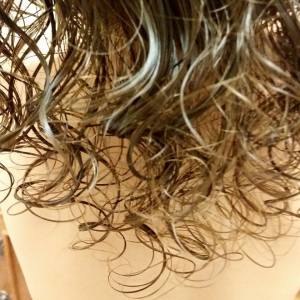 11119811_827679890660160_4404672366443250288_n