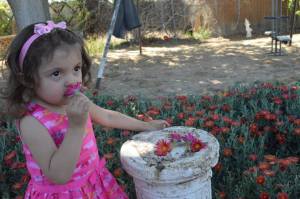 11090932_10206330911090950_2202955935026987026_o