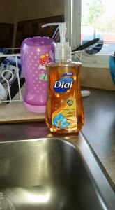 11130201_832981990129950_3829051401076869561_n