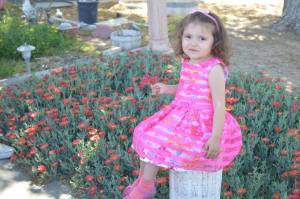 11136224_10206330908050874_11801731529652964_o