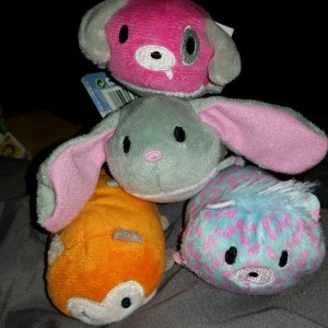 11150993_843378812423601_3188449204333083716_n