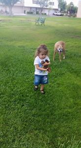 10923449_846268608801288_8405936860712411348_n