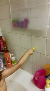 11207368_875550212539794_1910789631701895505_n