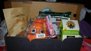 12080124_926380334123448_4564731076112743006_o