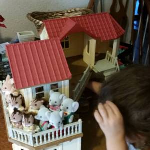 12191170_935788329849315_2286240950778125975_o