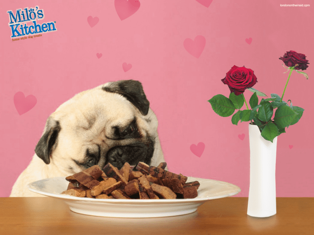 miloskitchenvalentines3