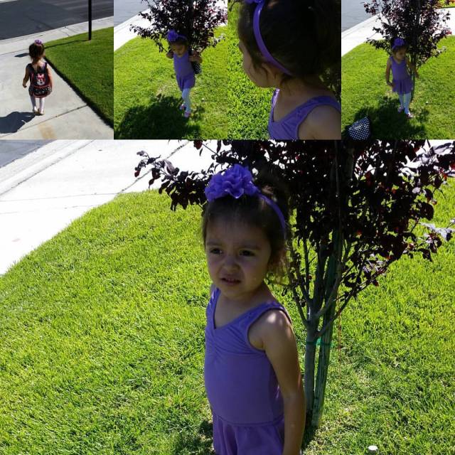 13246408_1042777809150366_5654661910591313245_o