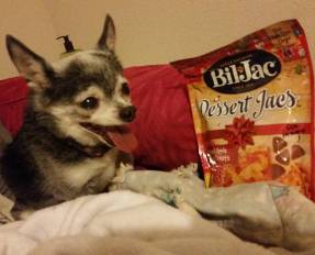 14715585_1158693407558805_6741833162332139091_o