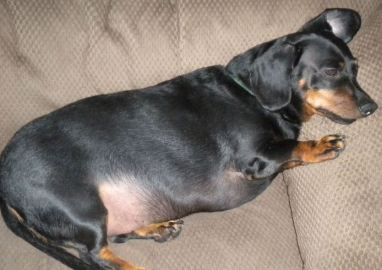 311623_138931722868317_3297404_n