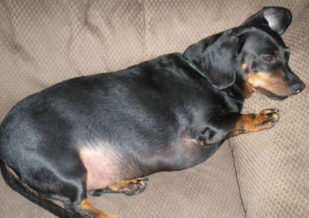 311623_138931722868317_3297404_n