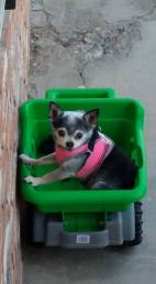 15241179_1204340566327422_1287880285994210068_n