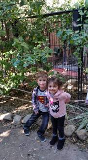 15780784_1234701116624700_372704650172111662_n