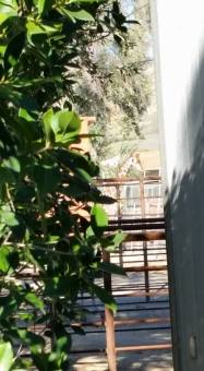 15822797_1234699719958173_5035471711506525292_n