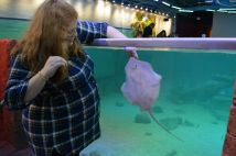 15936524_10211683369779072_618623323591244814_o