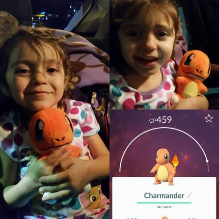 16422421_1268232753271536_7073368979580854782_o