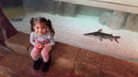 16938980_1287575444670600_320500185951699048_n