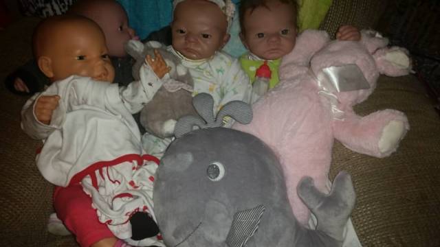 17504478_1324975324263945_2648855716001987378_o