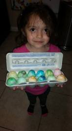 17904119_1337546709673473_445432996233127832_n