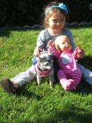 17973476_1340738906020920_4109268130616546996_o