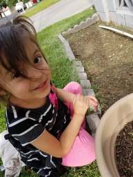 18765893_1385811431513667_1766402840079059511_n