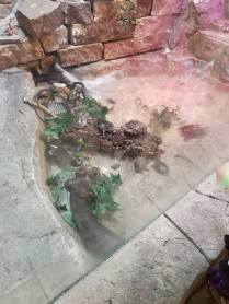 19748819_1427849983976478_3727835873142591263_n