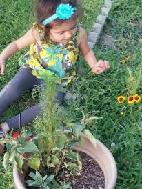 19884137_1430118770416266_4883963131139197409_n