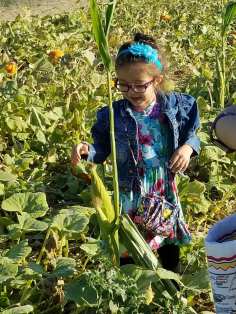 22228630_1510386352389507_6661528332361168313_n