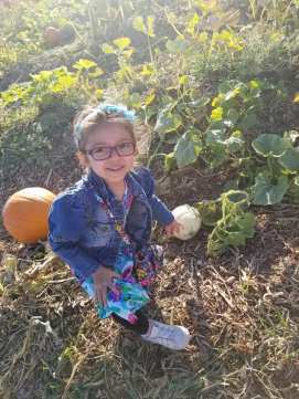 22310149_1510386069056202_6569662584333262878_n