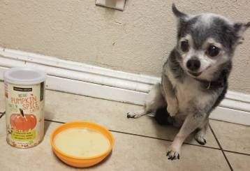 23215569_1536234219804720_222509617521012189_o