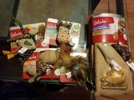 21586720_1494207860674023_5024993146121051266_o