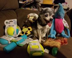 21587267_1494203937341082_315469680071216466_o