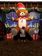 23915538_1554917194603089_1514105767620618663_n